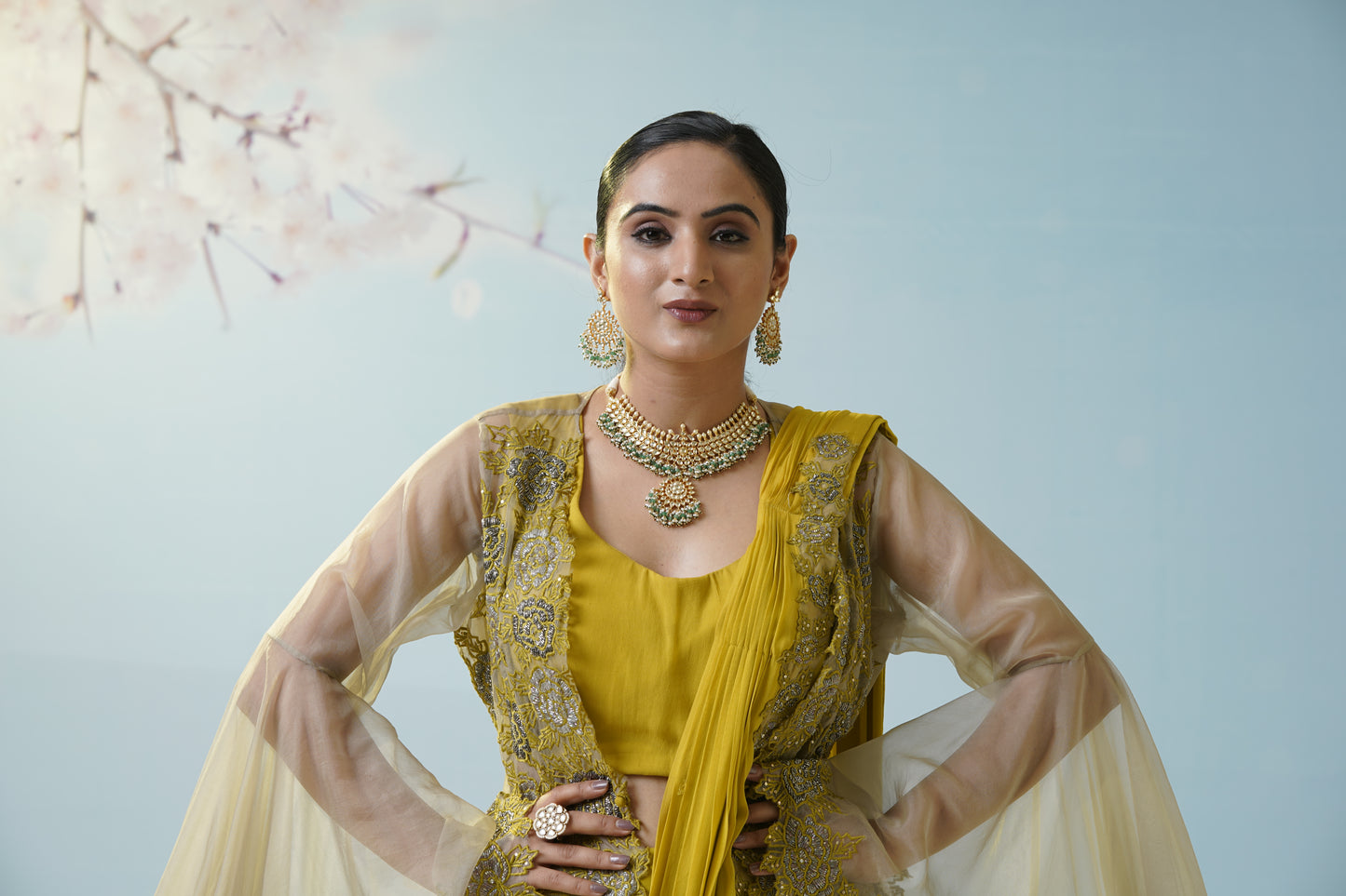 Lemon Yellow Net Saree With Embroidered Blouse