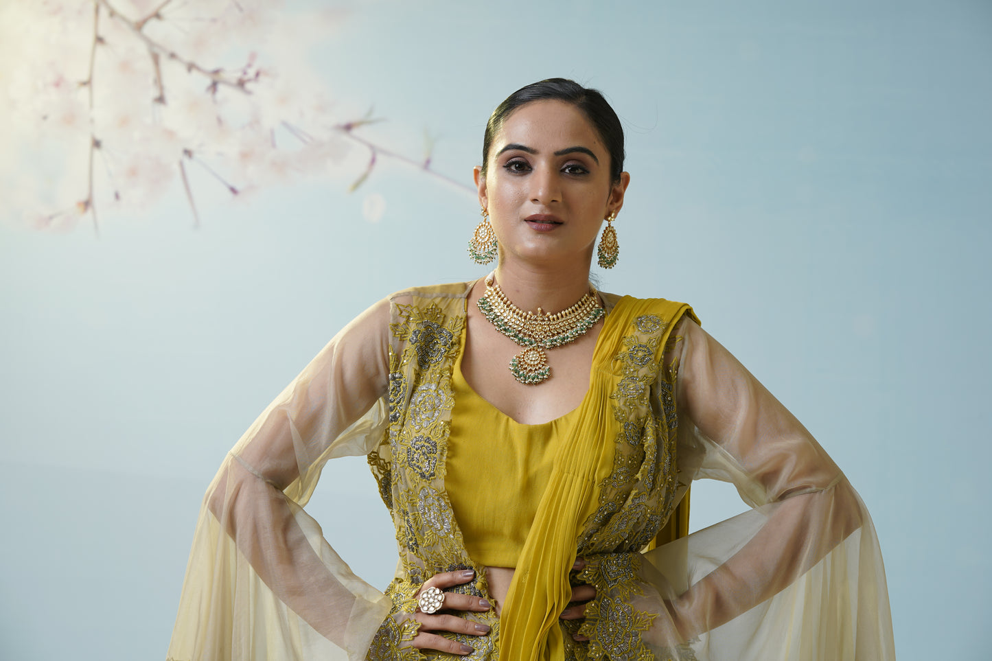 Lemon Yellow Net Saree With Embroidered Blouse