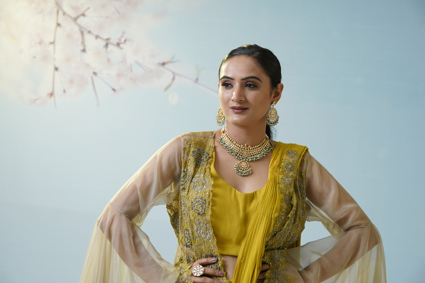 Lemon Yellow Net Saree With Embroidered Blouse