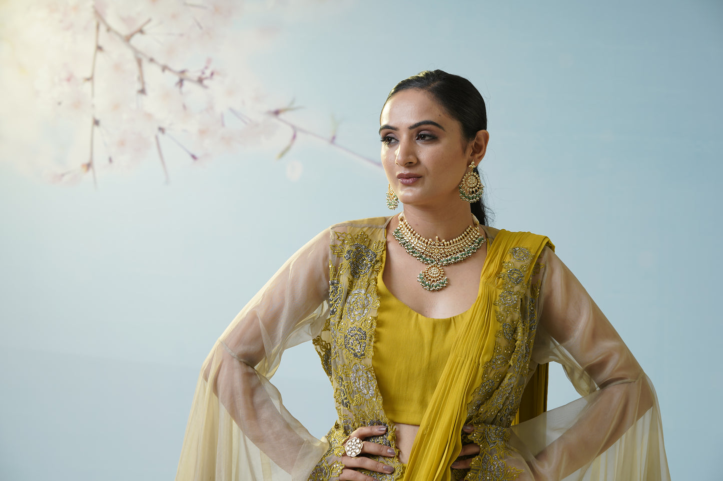 Lemon Yellow Net Saree With Embroidered Blouse